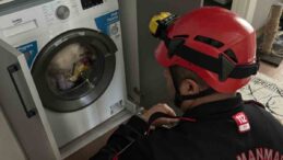 Çamaşır makinesindeki kedi kurtarıldı