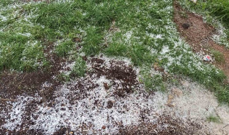 Afşin’de dolu tarım arazilerine zarar verdi