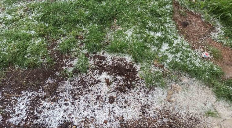 Afşin’de dolu tarım arazilerine zarar verdi