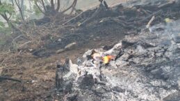 Orman yangını sürüyor: Ekipler 5 helikopter ve 110 personelle müdahale ediyor