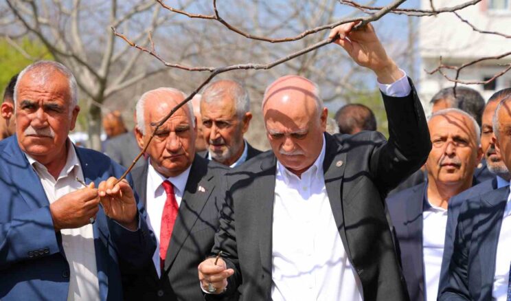 TZOB Genel Başkanı Bayraktar: “65 ilimizde meyve bahçelerimiz don felaketinden etkilendi”