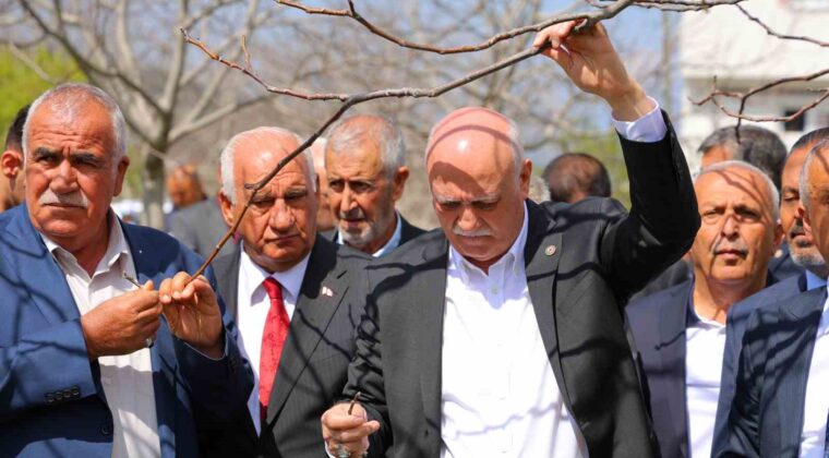 TZOB Genel Başkanı Bayraktar: “65 ilimizde meyve bahçelerimiz don felaketinden etkilendi”