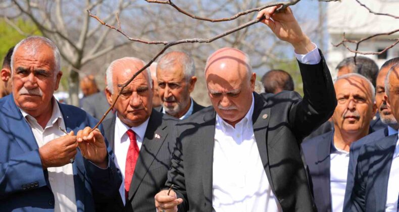 TZOB Genel Başkanı Bayraktar: “65 ilimizde meyve bahçelerimiz don felaketinden etkilendi”