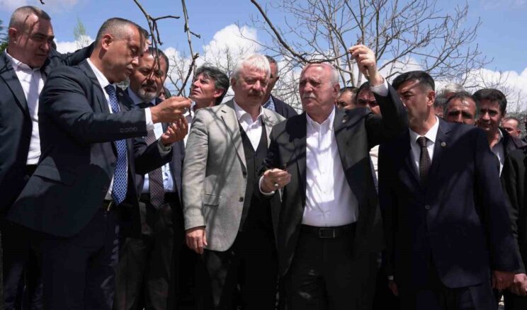 TZOB Başkanı Bayraktar, Kahramanmaraş’ta zirai dondan etkilenen bahçeleri inceledi