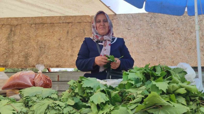 5 çocuk annesi, asma yaprağı satarak aile ekonomisine destek oluyor