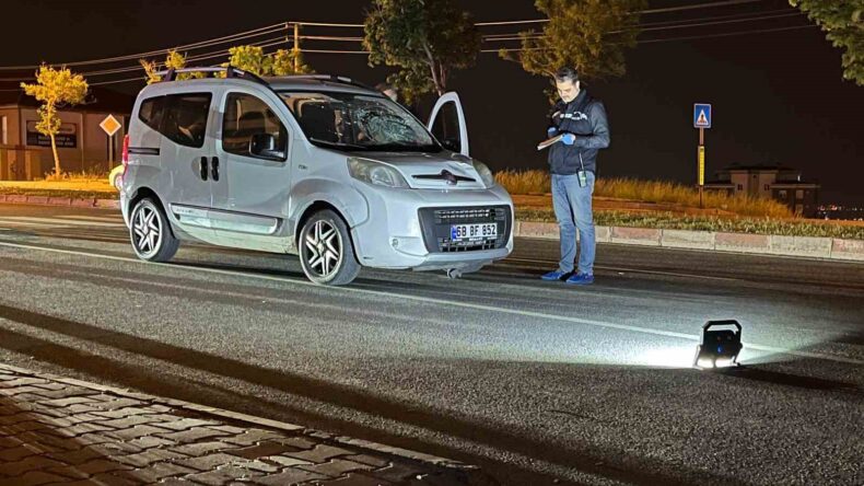Hafif ticari aracın çarptığı kadın hayatını kaybetti