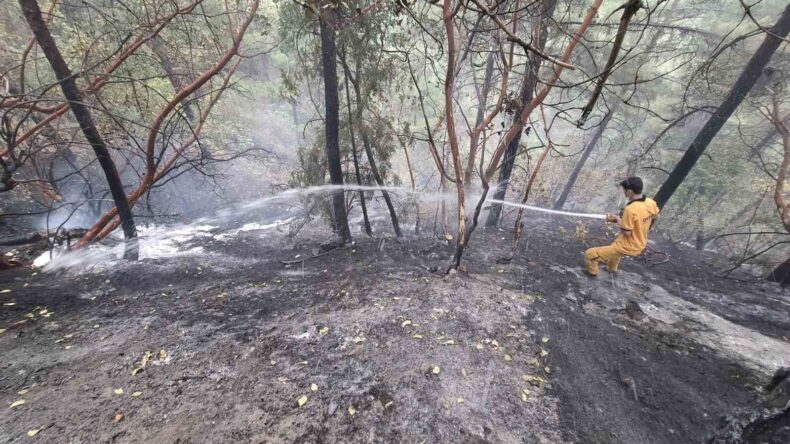 Kahramanmaraş’taki orman yangını kontrol altına alındı: 5,5 hektar zarar gördü
