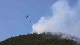 Yakılan anız, orman yangınına neden oldu: Müdahale sürüyor