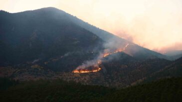 Kahramanmaraş’taki orman yangını: 26 saattir müdahale ediliyor
