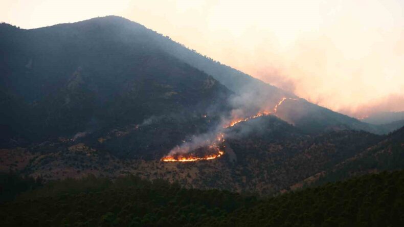 Kahramanmaraş’taki orman yangını: 26 saattir müdahale ediliyor