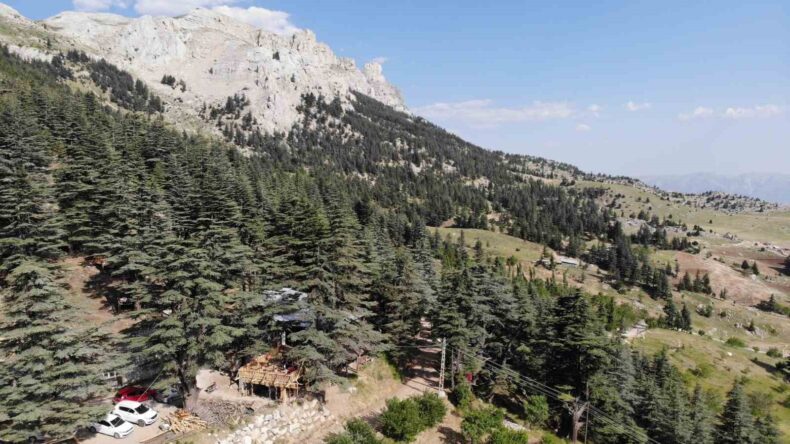 Sıcaklardan kaçanların adresi, Ilıca’nın yeşil kalbi: Halimin Gölü