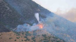 Kahramanmaraş’taki orman yangınına müdahale sürüyor