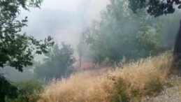 Kahramanmaraş’ta orman yangını büyümeden söndürüldü