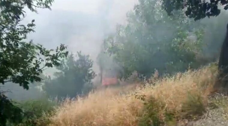 Kahramanmaraş’ta orman yangını büyümeden söndürüldü