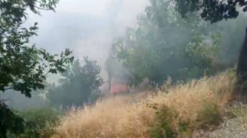 Kahramanmaraş’ta orman yangını büyümeden söndürüldü