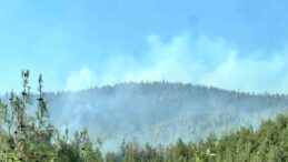 Kahramanmaraş’taki ikinci orman yangını da kontrol altında