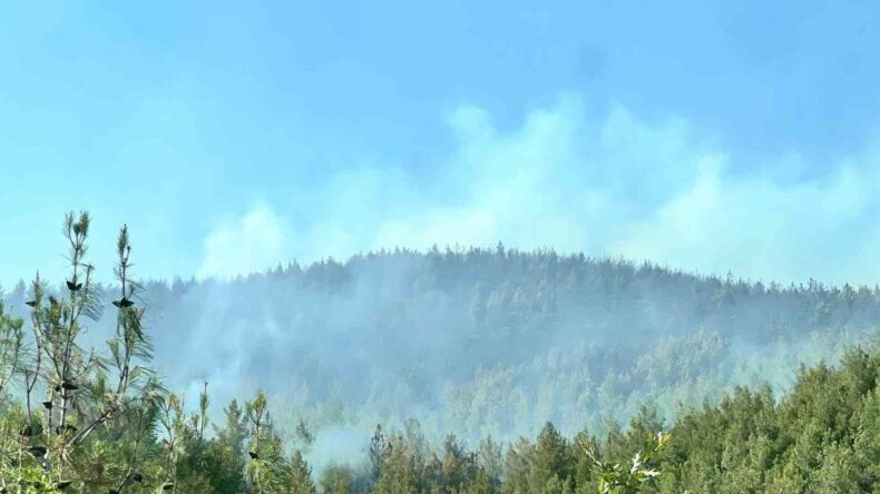 Kahramanmaraş’taki ikinci orman yangını da kontrol altında