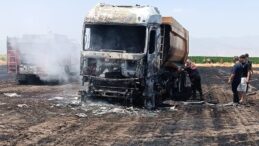 Anız yangını milyonluk tırı kül etti