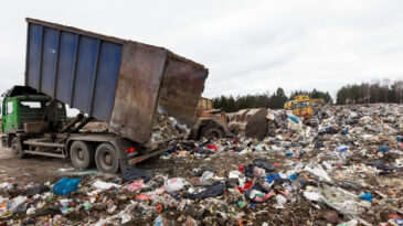 Plastik Kirliliğine Son Ver, Yaşamı Koru!