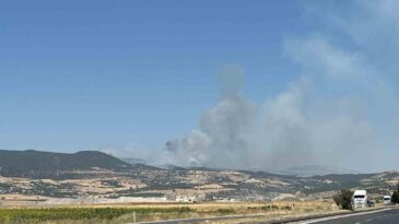 Kahramanmaraş’ta ikinci orman yangını