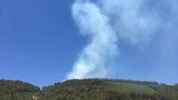 Ahır Dağı’nda bahçe yangını