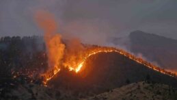 Kahramanmaraş’ta orman yangınına müdahale sürüyor