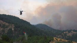 Kahramanmaraş’ta yangına havadan karadan müdahale sürüyor