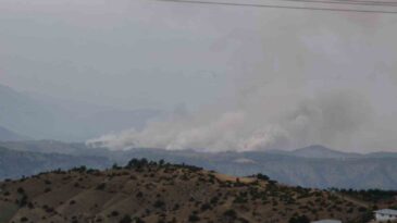 Kahramanmaraş’ta orman yangını