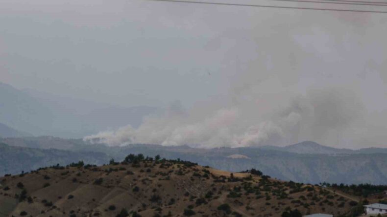 Kahramanmaraş’ta orman yangını