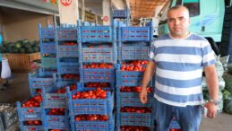 Salça dönemi başlamayınca domatesin fiyatı 3 TL’ye kadar düştü