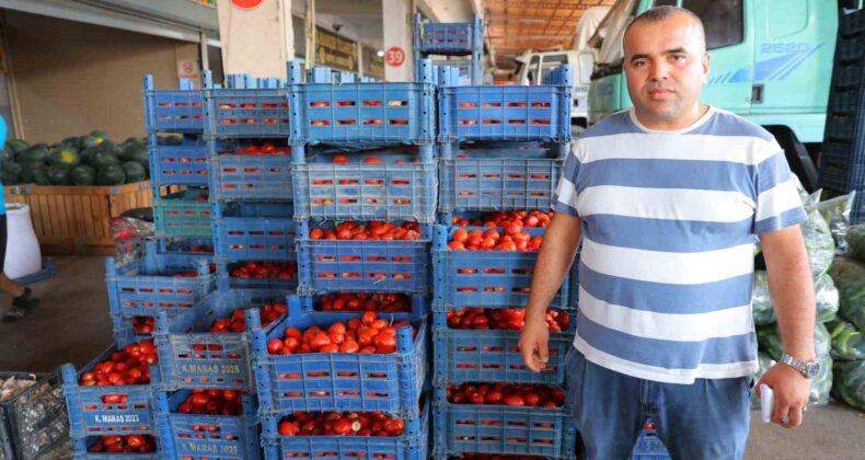 Salça dönemi başlamayınca domatesin fiyatı 3 TL’ye kadar düştü