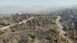 Kahramanmaraş’ta yangın sonrası küle dönen ormanlık alan dronla görüntülendi