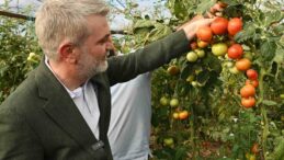 Kahramanmaraş’ta topraktan sofraya bereket zincirine destek