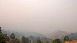 Kahramanmaraş’taki orman yangınında 4 ev yandı, 20 ev tahliye edildi