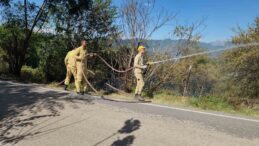 Kahramanmaraş’taki orman yangını söndürüldü