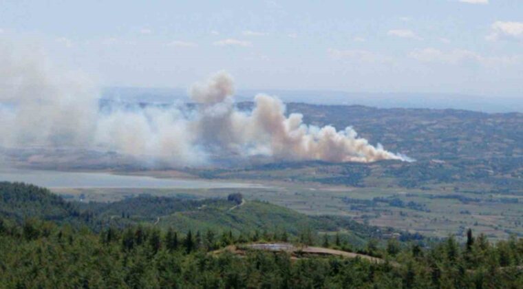 Kahramanmaraş’ta orman yangını