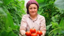 Adının hakkını veren mahalle: Her mevsim domates üretimi bölgeye katkı sağlıyor