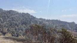 Kahramanmaraş’ta bin 500 hektar alanı etkileyen orman yangını kontrol altına alındı