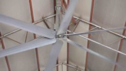 Sıcak havalarda havyanlar dev vantilatör ile serinliyor