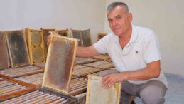 Kahramanmaraş’ta bu yıl 10 bin tonunun üzerinde bal rekoltesi bekleniyor