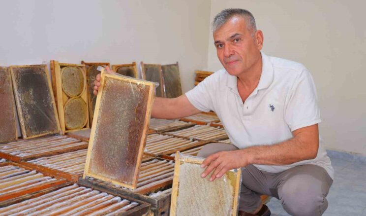 Kahramanmaraş’ta bu yıl 10 bin tonunun üzerinde bal rekoltesi bekleniyor