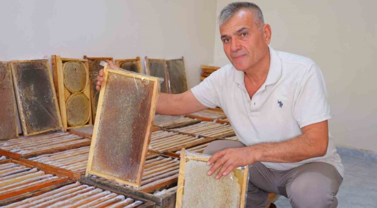 Kahramanmaraş’ta bu yıl 10 bin tonunun üzerinde bal rekoltesi bekleniyor