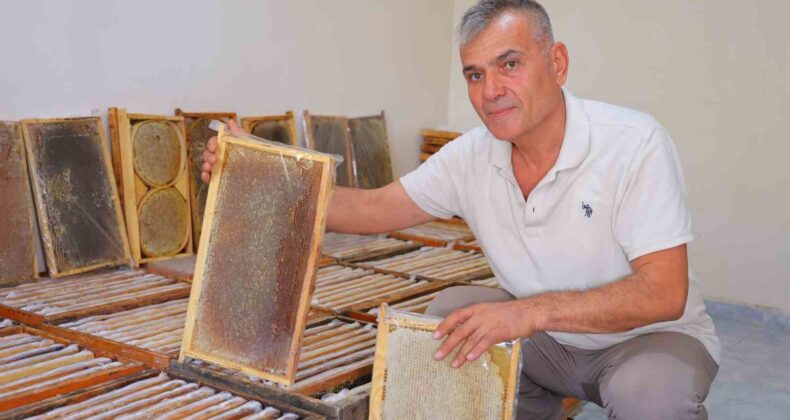 Kahramanmaraş’ta bu yıl 10 bin tonunun üzerinde bal rekoltesi bekleniyor