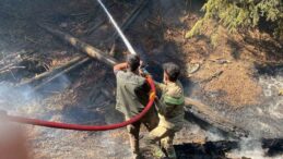 Kahramanmaraş’taki orman yangınına müdahale sürüyor