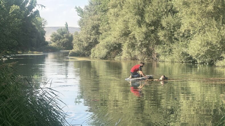 Kahramanmaraş’ta Hurman Çayı’na Giren Genç Hayatını Kaybetti