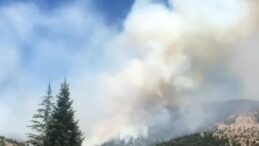 Kahramanmaraş’ta orman yangını