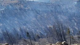 Kahramanmaraş’taki orman yangını sürüyor