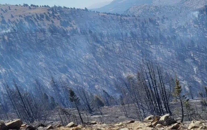 Kahramanmaraş’taki orman yangını sürüyor
