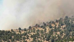 Kahramanmaraş’taki orman yangını ekiplerin müdahalesi sürüyor