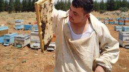 Bilgisayar programcısı genç, sevdiği baba mesleği arıcılığı tercih etti